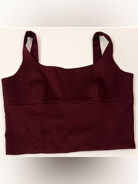 Aritzia Vegan Leather Crop Top